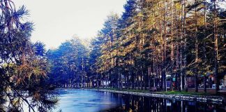 NIŽE CENE SMEŠTAJA NA ZLATIBORU Popunjenost smeštajnih kapaciteta oko 50 odsto