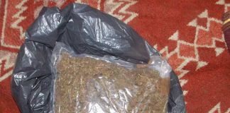 UHAPŠENA DVA LICA Pod sumnjom neovlašćena proizvodnja i promet opojnih droga