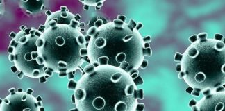 U Užicu nema zaraženih koronavirusom