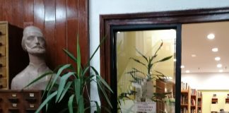 KULTURA Promocije knjiga u Čitalištu i Istorijskom arhivu