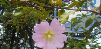 PROLEĆE NAJLEPŠE GODIŠNJE DOBA Danas sunčano, za vikend naoblačenje