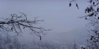 VREME Hladnije sa snegom i kišom narednih dana