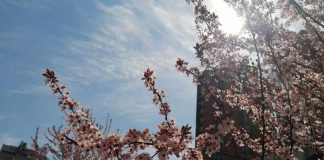 VREME: Narednih dana toplije, u jutarnjim satima hladno