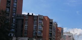 BUVLJAK SE SELI Krajem oktobra na Zelenu pijacu