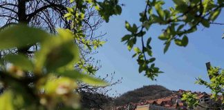 TREĆI REBALANS UŽIČKOG BUDŽETA