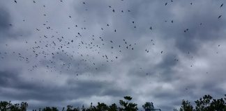 VREME: Narednih dana oblačano i hladnije, za vikend toplije