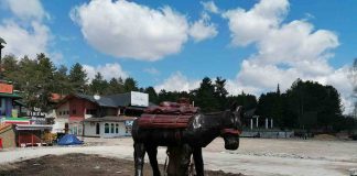 SRPSKI HOTELIJERI TRAŽE ODLAGANJE POREZA Hoteli na Zlatiboru startuju od 1. juna