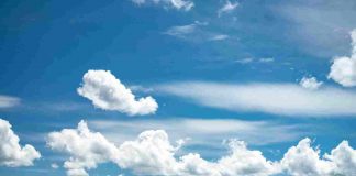 SVETSKI DAN VELNESA Obeležava se na Torniku