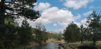 ZAŠTO JE ZLATIBOR LEKOVIT Vazdušna banja preko120 godina