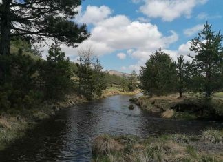 ZAŠTO JE ZLATIBOR LEKOVIT Vazdušna banja preko120 godina