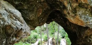 SVE VIŠE ZAINTERESOVANIH ZA SEOSKI TURIZAM