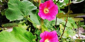 VREME Sunčano i toplo, od četvrtka ponovo nestabilno