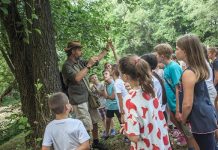 ARLEMM Digitalni edukativni program za više od stotinu dece