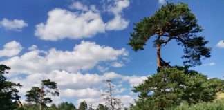 ZLATIBOR SPREMAN ZA PRAZNIKE Očekuje se veliki broj gostiju