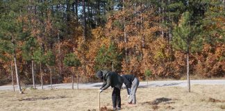 ZELENI POJAS U UŽICU PROTIV AEROZAGAĐENJA