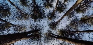 VREME Narednih dana oblačno, povremeno kiša i sneg