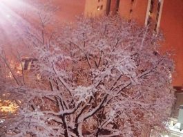 SRPSKA NOVA GODINA Kako je nastala i zašto je slavimo?