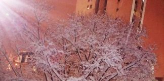 SRPSKA NOVA GODINA Kako je nastala i zašto je slavimo?