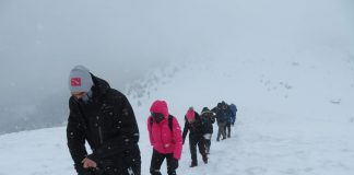 PLANINARI KLUBA „TORNIK“ NA VRHU JELJE