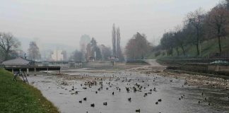 ZA UREĐENJE KORITA ĐETINJE Od „Srbijavoda“ 15 miliona dinara