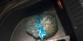 UHAPŠEN SEVOJNIČANIN Zbog proizvodnje i prometa opojne droge