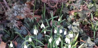 KONAČNO PROLEĆNE TEMERATURE