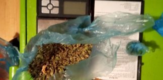 UHAPŠENA DVOJICA UŽIČANA U stanu pronađena marihuana