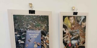„KNJIGA, JESEN I JA NA ZLATIBORU“ Izložba fotografija