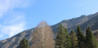 DAN PLANETE ZEMLJE Posvećen mladima, obrazovanju, akcijama čišćenja