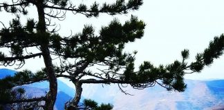 DANAS I SUTRA SUNČANO Iduće nedelje promenljivo oblačno