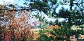 ZLATIBORSKO SELO Seoski turizam sve aktuelniji