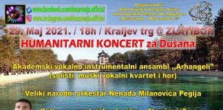 HUMANITARNI KONCERT ZA DUŠANA