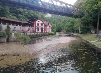 TUŽNA SLIKA NAŠE ĐETINJE