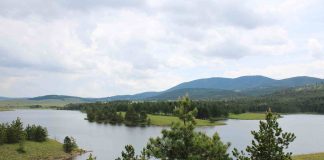 ZLATIBORSKO KULTURNO LETO Nastupiće Marija Šerifović, Vlado Georgiev, Dejan Petrović…