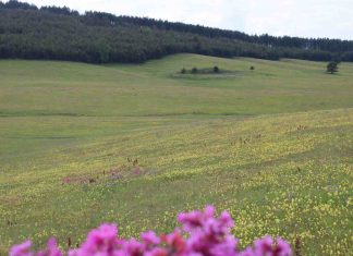 DIVČIBARE ILI ZLATIBOR Koja planina je bolja opcija za odmor?