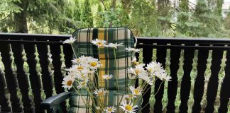 PETROVDAN Slave vernici i Srpska pravoslavna crkva