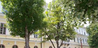 Reproduktivno zdravlje mladih DA NAS IMA VIŠE