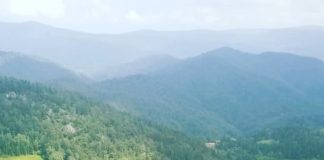 RAŠ „OMORIKA“ Projekat „Od šuma za šume“