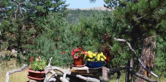 VREMENSKA PROGNOZA Lepo, sunčano danas a i sutra