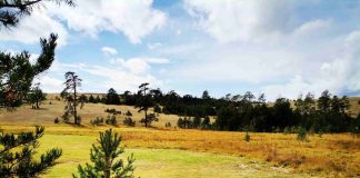 STIŽE JESEN Vreme pravo jesenje, za vikend toplije