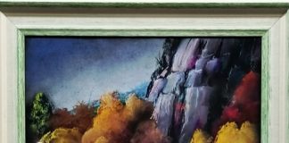 RADOMIR RADE VERGOVIĆ Sentimentalno putovanje