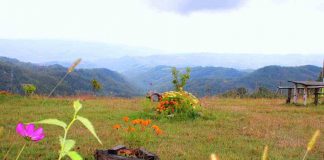 IVANJDAN VELIKI PRAZNIK Pletu se venci od cveća