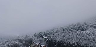 GRADSKE ULICE I putevi prohodni, oprez u saobraćaju