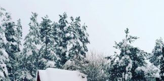 NOVA GODINA Vesna Zmijanac i Alen Islamović na Zlatiboru