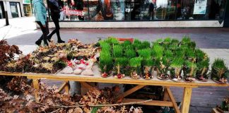 Srbi slave Tucindan Ne tucite decu, spremite pečenicu