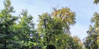 PUTOVANJE SRBIJOM Po junacima i ime banje u Apatinu