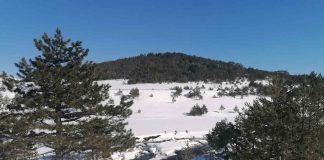 APRILSKI SNEG Zavejao Zlatibor, Zlatar i Taru