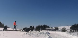 SNEG NA ZLATIBORU A vreme sve toplije