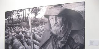 MIROSLAV PREDOJEVIĆ Život, preplitanje fotografija i reči