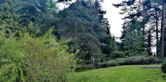 KIŠA I LOKALNI PLJUSKOVI Od utorka toplije vreme